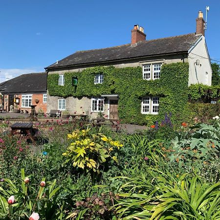 The Coppleridge Inn Motcombe Exterior photo